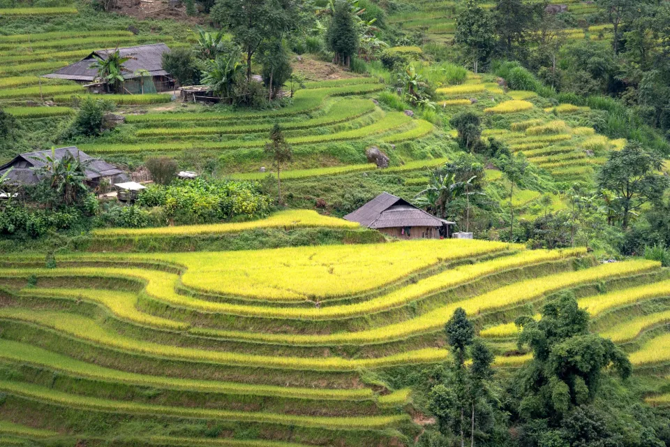 Kho gạo của Phạm Phú Quý